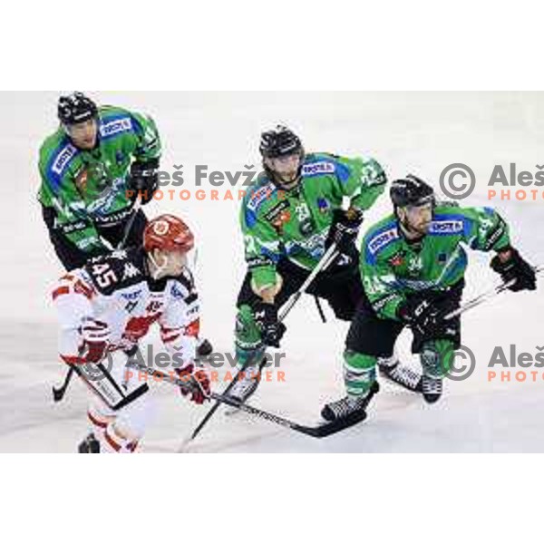 of Telemach Olimpija in action during ice-hockey match Telemach Olimpija-TWK Innsbruck in first round of EBEL league 2015/2016 in Hala Tivoli, Ljubljana, Slovenia on September 12, 2015