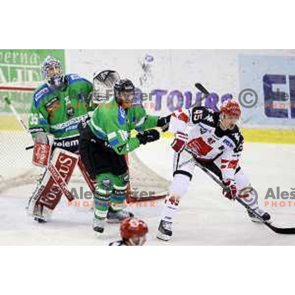 of Telemach Olimpija in action during ice-hockey match Telemach Olimpija-TWK Innsbruck in first round of EBEL league 2015/2016 in Hala Tivoli, Ljubljana, Slovenia on September 12, 2015