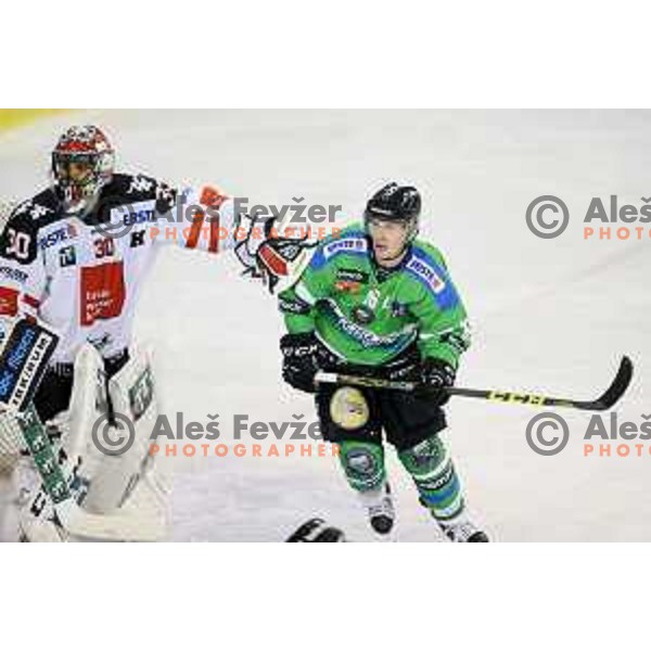 of Telemach Olimpija in action during ice-hockey match Telemach Olimpija-TWK Innsbruck in first round of EBEL league 2015/2016 in Hala Tivoli, Ljubljana, Slovenia on September 12, 2015