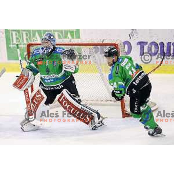 of Telemach Olimpija in action during ice-hockey match Telemach Olimpija-TWK Innsbruck in first round of EBEL league 2015/2016 in Hala Tivoli, Ljubljana, Slovenia on September 12, 2015