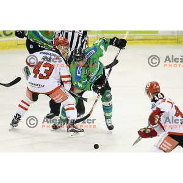 of Telemach Olimpija in action during ice-hockey match Telemach Olimpija-TWK Innsbruck in first round of EBEL league 2015/2016 in Hala Tivoli, Ljubljana, Slovenia on September 12, 2015