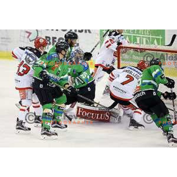 of Telemach Olimpija in action during ice-hockey match Telemach Olimpija-TWK Innsbruck in first round of EBEL league 2015/2016 in Hala Tivoli, Ljubljana, Slovenia on September 12, 2015