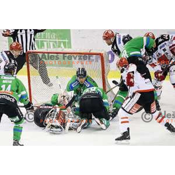 of Telemach Olimpija in action during ice-hockey match Telemach Olimpija-TWK Innsbruck in first round of EBEL league 2015/2016 in Hala Tivoli, Ljubljana, Slovenia on September 12, 2015