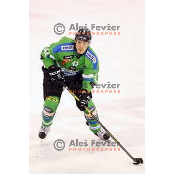 of Telemach Olimpija in action during ice-hockey match Telemach Olimpija-TWK Innsbruck in first round of EBEL league 2015/2016 in Hala Tivoli, Ljubljana, Slovenia on September 12, 2015