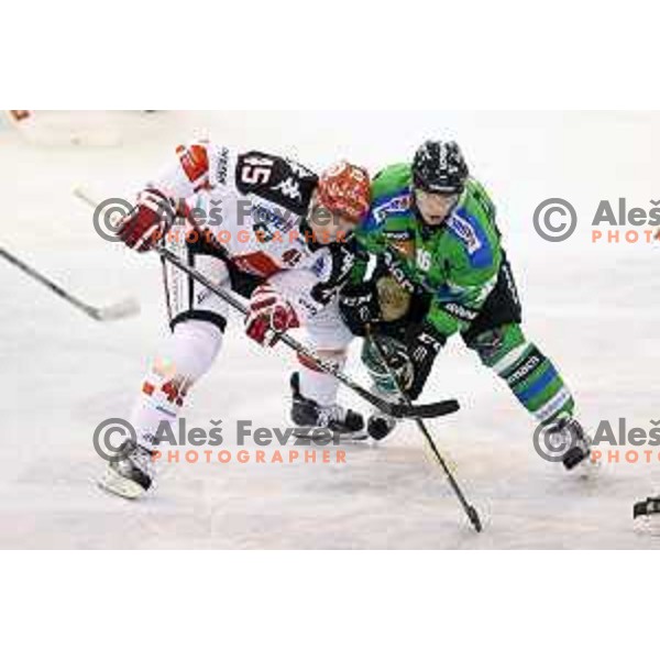 of Telemach Olimpija in action during ice-hockey match Telemach Olimpija-TWK Innsbruck in first round of EBEL league 2015/2016 in Hala Tivoli, Ljubljana, Slovenia on September 12, 2015
