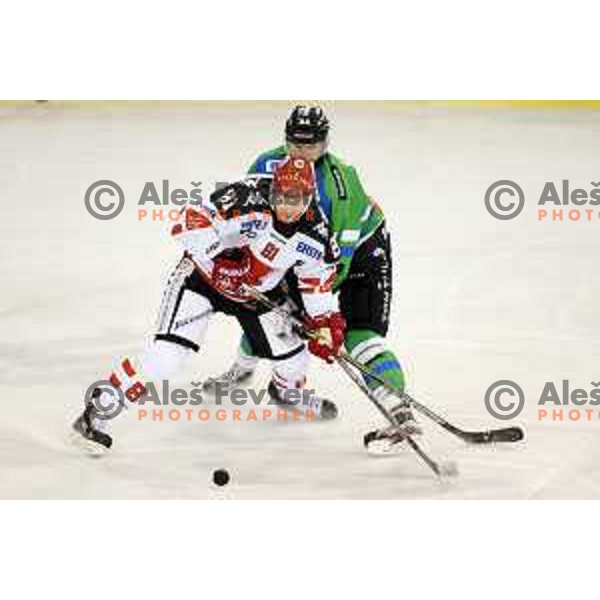 of Telemach Olimpija in action during ice-hockey match Telemach Olimpija-TWK Innsbruck in first round of EBEL league 2015/2016 in Hala Tivoli, Ljubljana, Slovenia on September 12, 2015