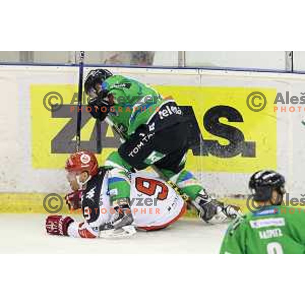 of Telemach Olimpija in action during ice-hockey match Telemach Olimpija-TWK Innsbruck in first round of EBEL league 2015/2016 in Hala Tivoli, Ljubljana, Slovenia on September 12, 2015