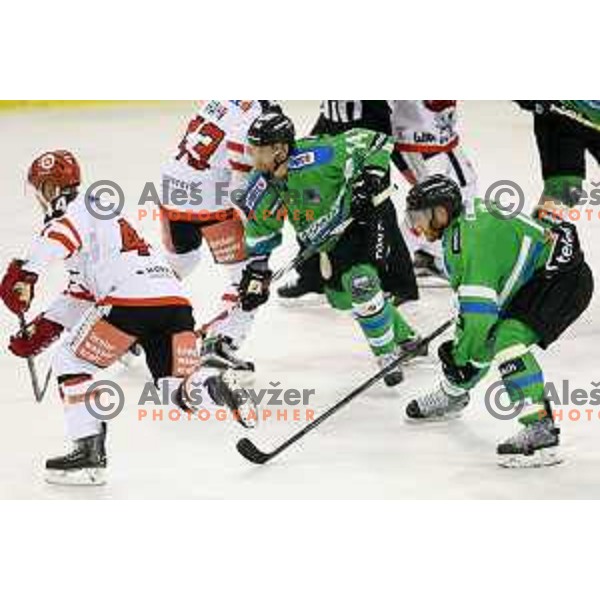 of Telemach Olimpija in action during ice-hockey match Telemach Olimpija-TWK Innsbruck in first round of EBEL league 2015/2016 in Hala Tivoli, Ljubljana, Slovenia on September 12, 2015