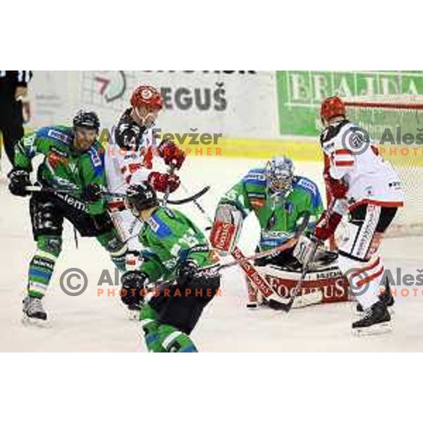 of Telemach Olimpija in action during ice-hockey match Telemach Olimpija-TWK Innsbruck in first round of EBEL league 2015/2016 in Hala Tivoli, Ljubljana, Slovenia on September 12, 2015
