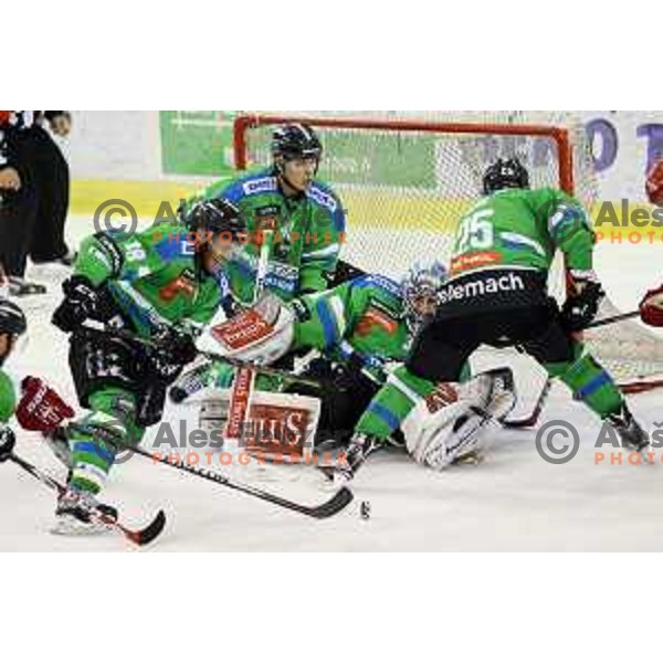 of Telemach Olimpija in action during ice-hockey match Telemach Olimpija-TWK Innsbruck in first round of EBEL league 2015/2016 in Hala Tivoli, Ljubljana, Slovenia on September 12, 2015
