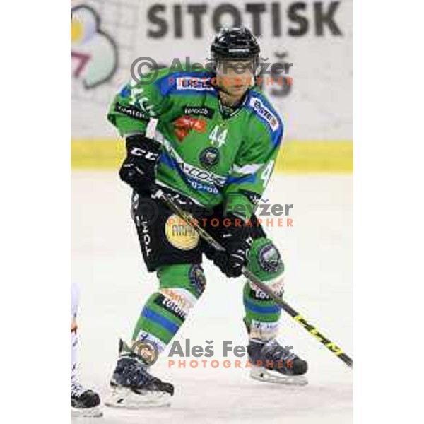 of Telemach Olimpija in action during ice-hockey match Telemach Olimpija-TWK Innsbruck in first round of EBEL league 2015/2016 in Hala Tivoli, Ljubljana, Slovenia on September 12, 2015