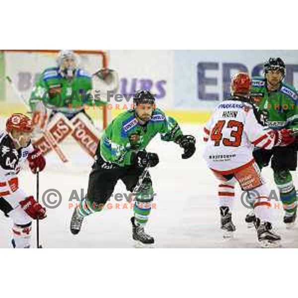of Telemach Olimpija in action during ice-hockey match Telemach Olimpija-TWK Innsbruck in first round of EBEL league 2015/2016 in Hala Tivoli, Ljubljana, Slovenia on September 12, 2015