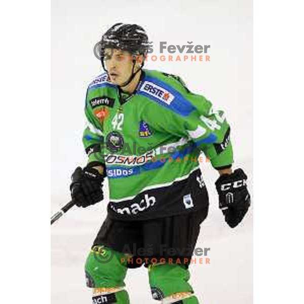 of Telemach Olimpija in action during ice-hockey match Telemach Olimpija-TWK Innsbruck in first round of EBEL league 2015/2016 in Hala Tivoli, Ljubljana, Slovenia on September 12, 2015