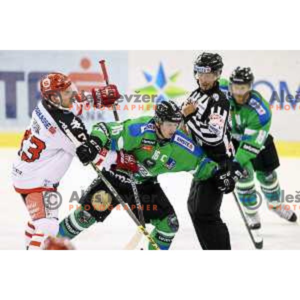 of Telemach Olimpija in action during ice-hockey match Telemach Olimpija-TWK Innsbruck in first round of EBEL league 2015/2016 in Hala Tivoli, Ljubljana, Slovenia on September 12, 2015