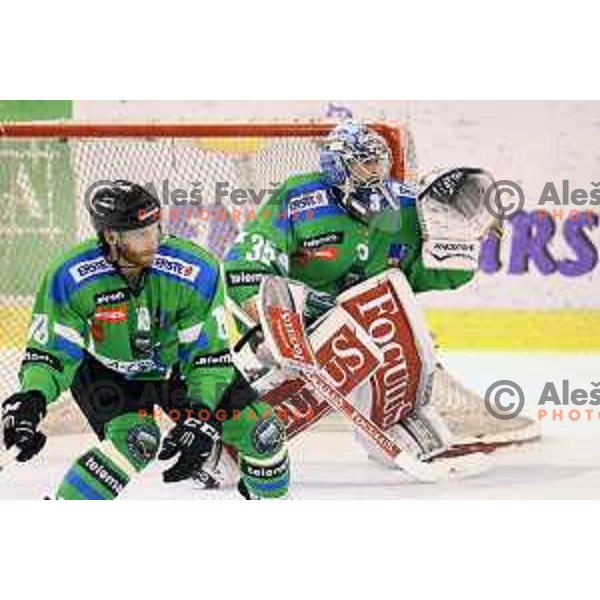 of Telemach Olimpija in action during ice-hockey match Telemach Olimpija-TWK Innsbruck in first round of EBEL league 2015/2016 in Hala Tivoli, Ljubljana, Slovenia on September 12, 2015