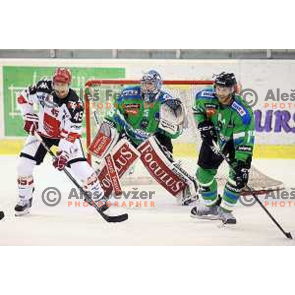 of Telemach Olimpija in action during ice-hockey match Telemach Olimpija-TWK Innsbruck in first round of EBEL league 2015/2016 in Hala Tivoli, Ljubljana, Slovenia on September 12, 2015