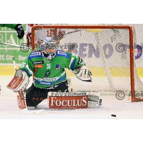 of Telemach Olimpija in action during ice-hockey match Telemach Olimpija-TWK Innsbruck in first round of EBEL league 2015/2016 in Hala Tivoli, Ljubljana, Slovenia on September 12, 2015
