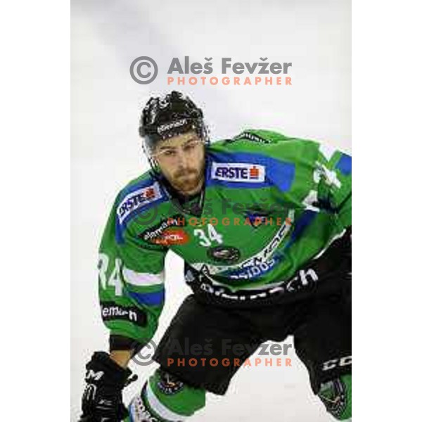 of Telemach Olimpija in action during ice-hockey match Telemach Olimpija-TWK Innsbruck in first round of EBEL league 2015/2016 in Hala Tivoli, Ljubljana, Slovenia on September 12, 2015