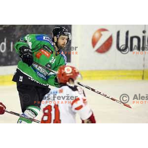 of Telemach Olimpija in action during ice-hockey match Telemach Olimpija-TWK Innsbruck in first round of EBEL league 2015/2016 in Hala Tivoli, Ljubljana, Slovenia on September 12, 2015