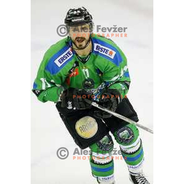 of Telemach Olimpija in action during ice-hockey match Telemach Olimpija-TWK Innsbruck in first round of EBEL league 2015/2016 in Hala Tivoli, Ljubljana, Slovenia on September 12, 2015