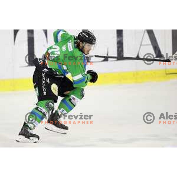 of Telemach Olimpija in action during ice-hockey match Telemach Olimpija-TWK Innsbruck in first round of EBEL league 2015/2016 in Hala Tivoli, Ljubljana, Slovenia on September 12, 2015