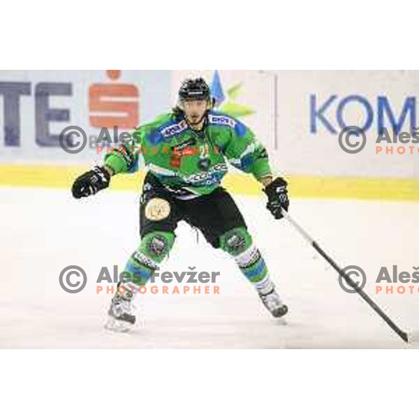 of Telemach Olimpija in action during ice-hockey match Telemach Olimpija-TWK Innsbruck in first round of EBEL league 2015/2016 in Hala Tivoli, Ljubljana, Slovenia on September 12, 2015
