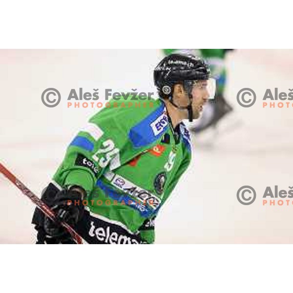 of Telemach Olimpija in action during ice-hockey match Telemach Olimpija-TWK Innsbruck in first round of EBEL league 2015/2016 in Hala Tivoli, Ljubljana, Slovenia on September 12, 2015