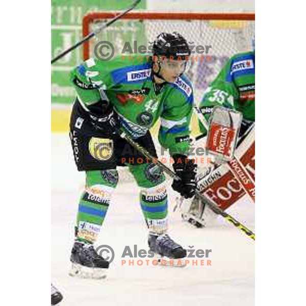 of Telemach Olimpija in action during ice-hockey match Telemach Olimpija-TWK Innsbruck in first round of EBEL league 2015/2016 in Hala Tivoli, Ljubljana, Slovenia on September 12, 2015