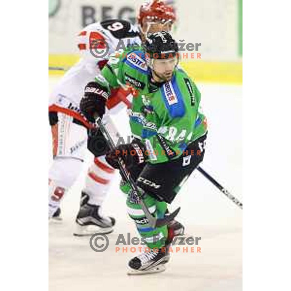 of Telemach Olimpija in action during ice-hockey match Telemach Olimpija-TWK Innsbruck in first round of EBEL league 2015/2016 in Hala Tivoli, Ljubljana, Slovenia on September 12, 2015