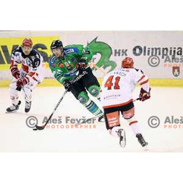 of Telemach Olimpija in action during ice-hockey match Telemach Olimpija-TWK Innsbruck in first round of EBEL league 2015/2016 in Hala Tivoli, Ljubljana, Slovenia on September 12, 2015