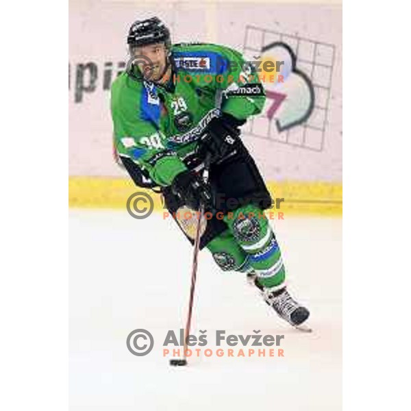 of Telemach Olimpija in action during ice-hockey match Telemach Olimpija-TWK Innsbruck in first round of EBEL league 2015/2016 in Hala Tivoli, Ljubljana, Slovenia on September 12, 2015