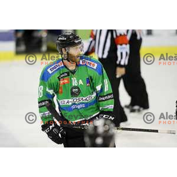 of Telemach Olimpija in action during ice-hockey match Telemach Olimpija-TWK Innsbruck in first round of EBEL league 2015/2016 in Hala Tivoli, Ljubljana, Slovenia on September 12, 2015