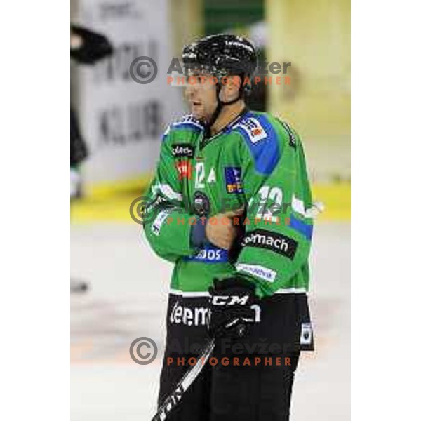 of Telemach Olimpija in action during ice-hockey match Telemach Olimpija-TWK Innsbruck in first round of EBEL league 2015/2016 in Hala Tivoli, Ljubljana, Slovenia on September 12, 2015