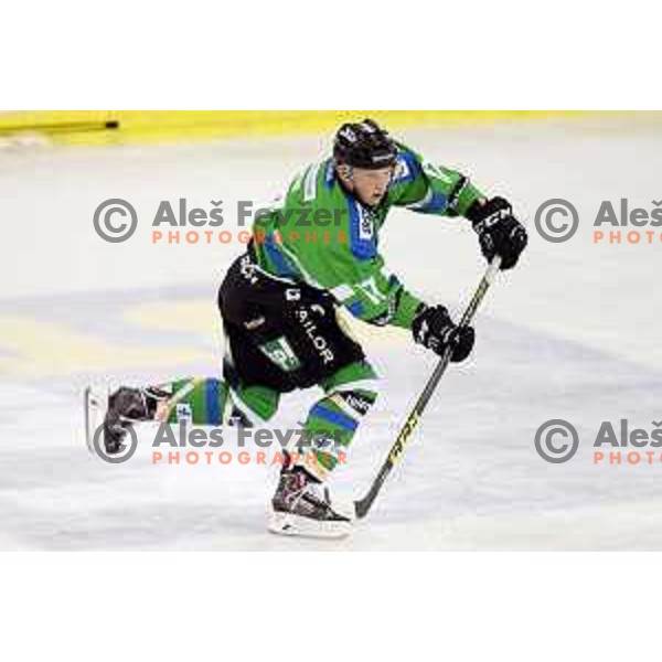 of Telemach Olimpija in action during ice-hockey match Telemach Olimpija-TWK Innsbruck in first round of EBEL league 2015/2016 in Hala Tivoli, Ljubljana, Slovenia on September 12, 2015