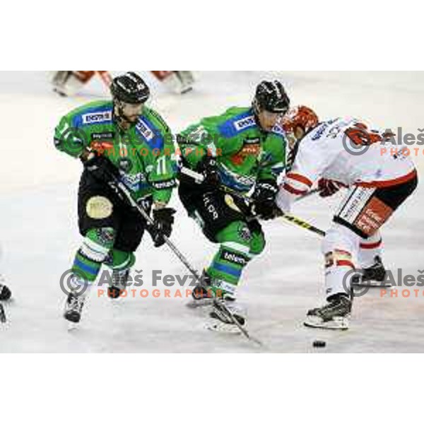 of Telemach Olimpija in action during ice-hockey match Telemach Olimpija-TWK Innsbruck in first round of EBEL league 2015/2016 in Hala Tivoli, Ljubljana, Slovenia on September 12, 2015