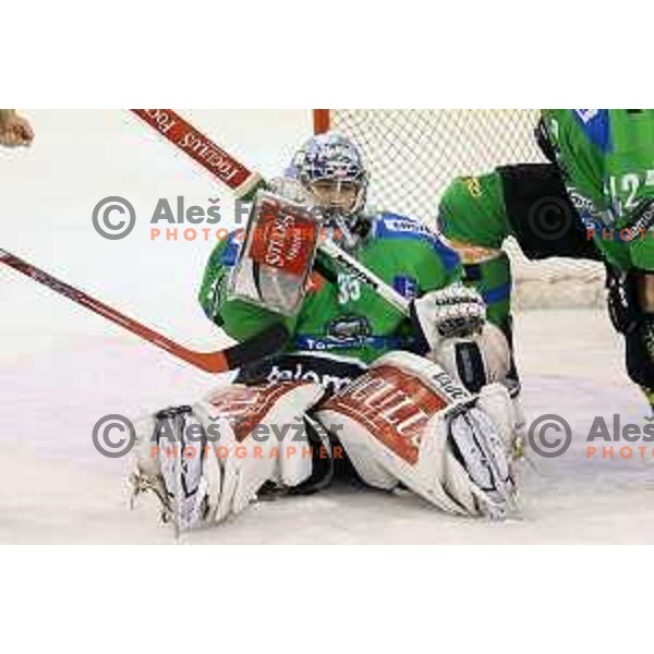 of Telemach Olimpija in action during ice-hockey match Telemach Olimpija-TWK Innsbruck in first round of EBEL league 2015/2016 in Hala Tivoli, Ljubljana, Slovenia on September 12, 2015