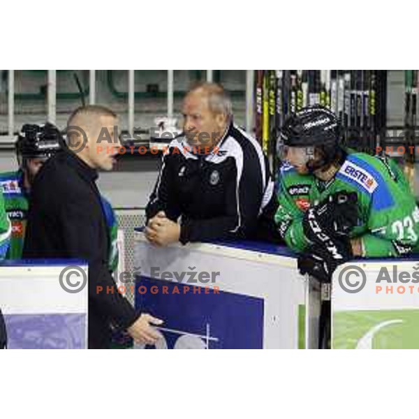 of Telemach Olimpija in action during ice-hockey match Telemach Olimpija-TWK Innsbruck in first round of EBEL league 2015/2016 in Hala Tivoli, Ljubljana, Slovenia on September 12, 2015