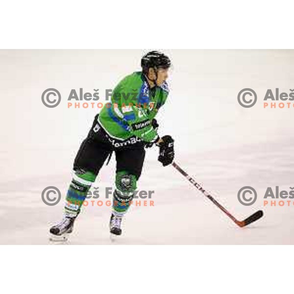 of Telemach Olimpija in action during ice-hockey match Telemach Olimpija-TWK Innsbruck in first round of EBEL league 2015/2016 in Hala Tivoli, Ljubljana, Slovenia on September 12, 2015