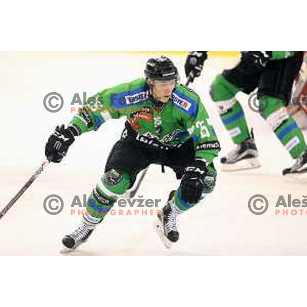 of Telemach Olimpija in action during ice-hockey match Telemach Olimpija-TWK Innsbruck in first round of EBEL league 2015/2016 in Hala Tivoli, Ljubljana, Slovenia on September 12, 2015
