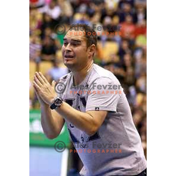 Branko Tamse, head coach of Celje Pivovarna Lasko in action during EHF Champions league handball match between Celje PL (Slovenia) and Zagreb (Croatia) in Zlatorog Hall, Celje on September 26, 2015