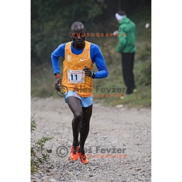 36. Smarna Gora race, WMRA Final race Ljubljana, Slovenia 03.10.2015