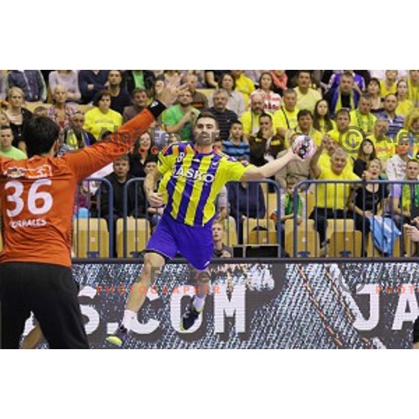 of Celje Pivovarna Lasko in action during EHF Champions league handball match between Celje PL (Slovenia) and Wisla Plock SSA (Poland) in Zlatorog Hall, Celje on October 3,2015