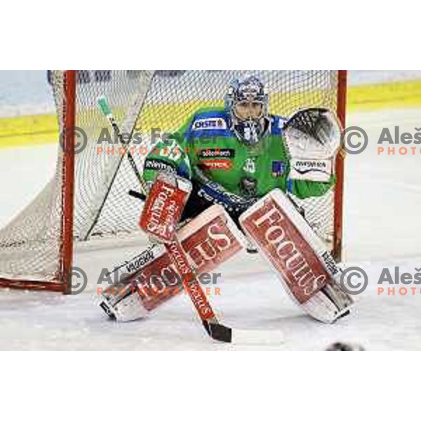 Oliver Roy of Telemach Olimpija in action during ice-hockey match Telemach Olimpija-KAC in EBEL league 2015/2016 in Hala Tivoli, Ljubljana, Slovenia on October 9, 2015