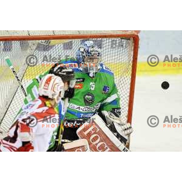 Oliver Roy of Telemach Olimpija in action during ice-hockey match Telemach Olimpija-KAC in EBEL league 2015/2016 in Hala Tivoli, Ljubljana, Slovenia on October 9, 2015