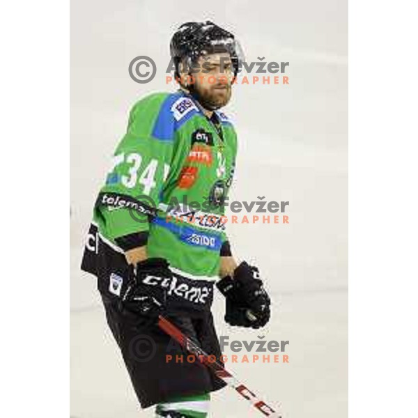 of Telemach Olimpija in action during ice-hockey match Telemach Olimpija-KAC in EBEL league 2015/2016 in Hala Tivoli, Ljubljana, Slovenia on October 9, 2015