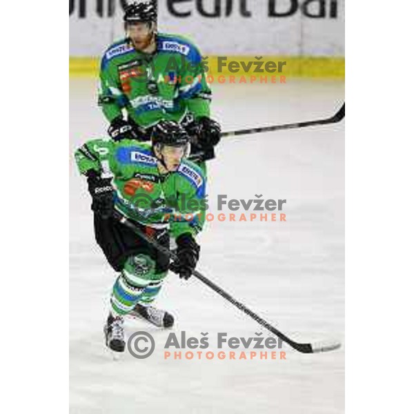 of Telemach Olimpija in action during ice-hockey match Telemach Olimpija-KAC in EBEL league 2015/2016 in Hala Tivoli, Ljubljana, Slovenia on October 9, 2015
