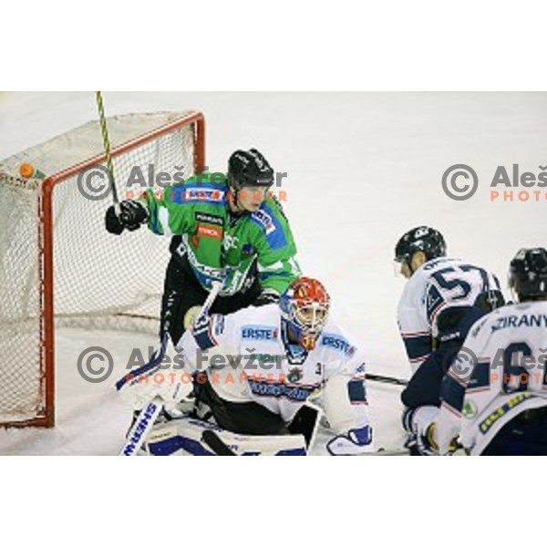 of Telemach Olimpija in action during ice-hockey match Telemach Olimpija-Sapa Fehervar in EBEL league 2015/2016 in Hala Tivoli, Ljubljana, Slovenia on October 11, 2015