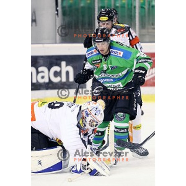 of Telemach Olimpija in action during ice-hockey match Telemach Olimpija-Dornbirn in EBEL league 2015/2016 in Hala Tivoli, Ljubljana, Slovenia on October 13, 2015