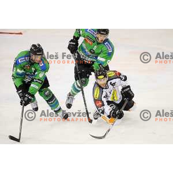 of Telemach Olimpija in action during ice-hockey match Telemach Olimpija-Dornbirn in EBEL league 2015/2016 in Hala Tivoli, Ljubljana, Slovenia on October 13, 2015