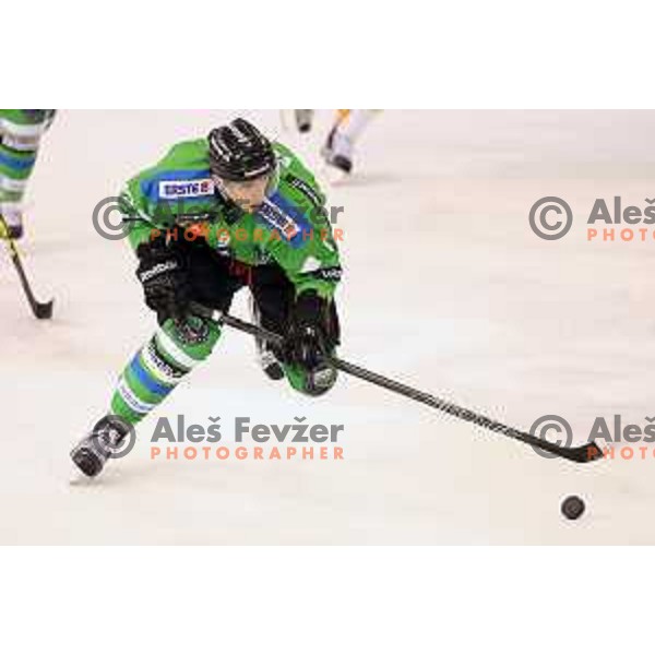 of Telemach Olimpija in action during ice-hockey match Telemach Olimpija-Dornbirn in EBEL league 2015/2016 in Hala Tivoli, Ljubljana, Slovenia on October 13, 2015